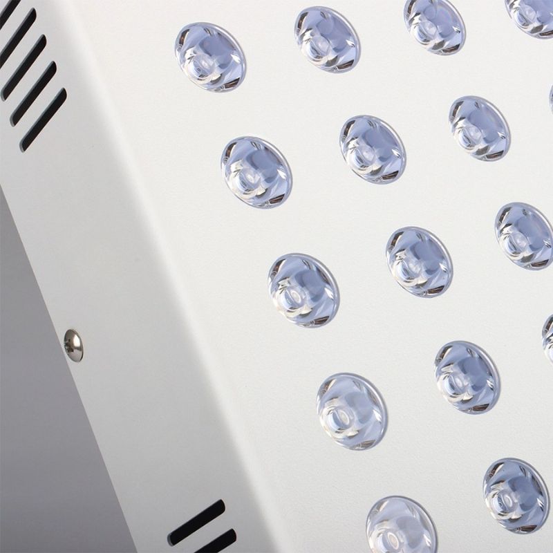 Close Up of LED Lights On Red Light panel