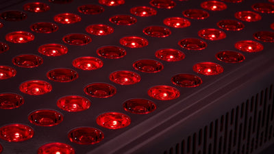 picture of up close red light panel
