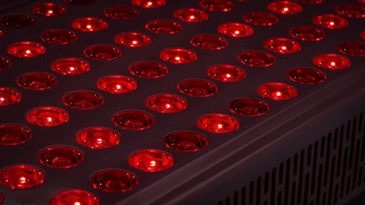 picture of up close red light panel