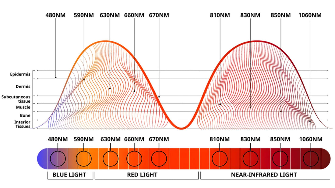 wavelengths of led light therapy diagram