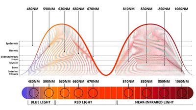 wavelengths of led light therapy diagram