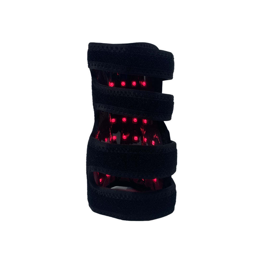 Dog Red Light Wrap Isolation