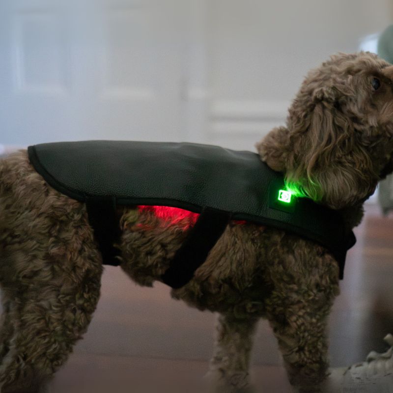 Dog_Wearing_Red_Light_therapy_Coat_Small_8