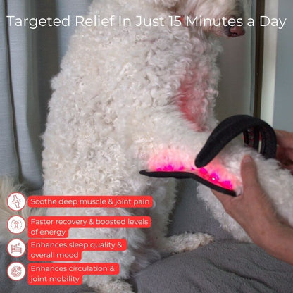 RedLightTherapyforDogsBraceBenefits