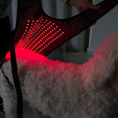 Red_Light_Therapy_Coat_for_Dogs_from_Behind