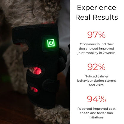 Red_Light_Therapy_for_Dogs_Brace_Results