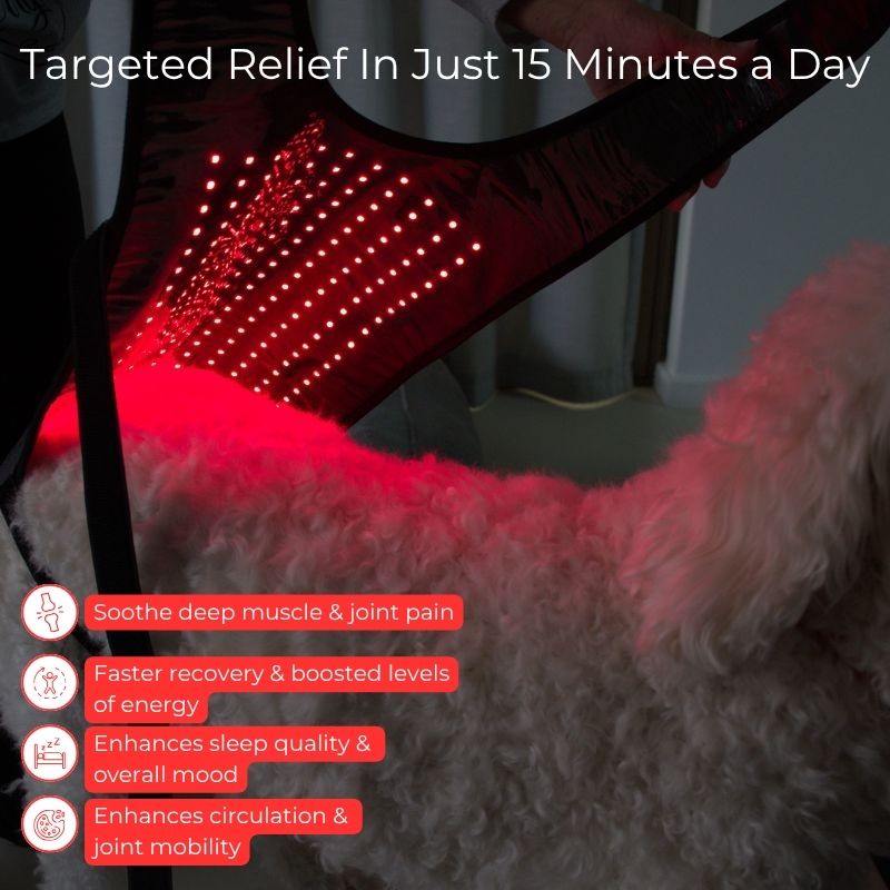 Red_Light_Therapy_for_Dogs_Large_Coat_Benefits