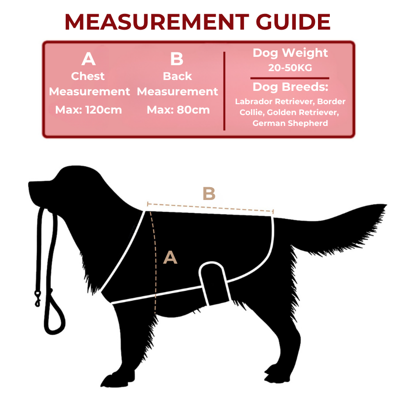 Red Light Therapy for Large Dogs Size Guide
