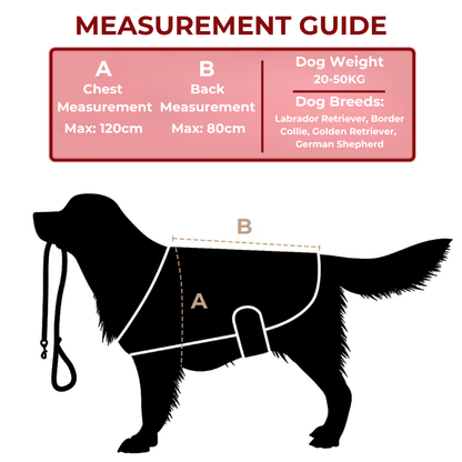 Red Light Therapy for Large Dogs Size Guide