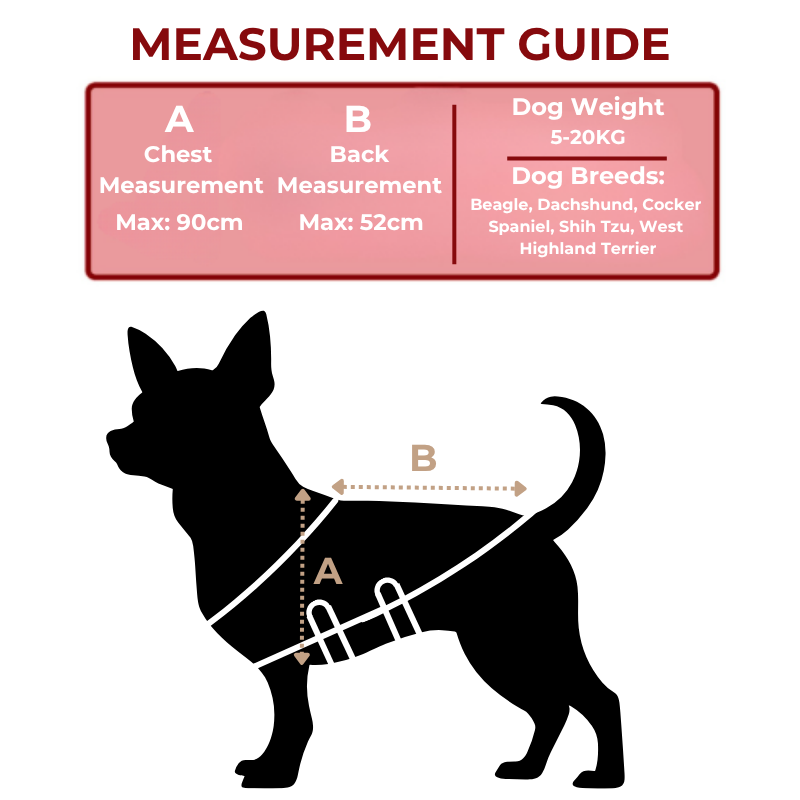 Red Light Therapy for Small Dogs Size Guide