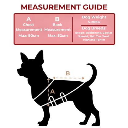 Red Light Therapy for Small Dogs Size Guide