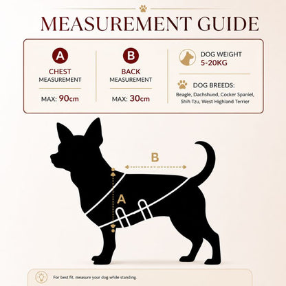 measurements_for_the_small_dog_coat