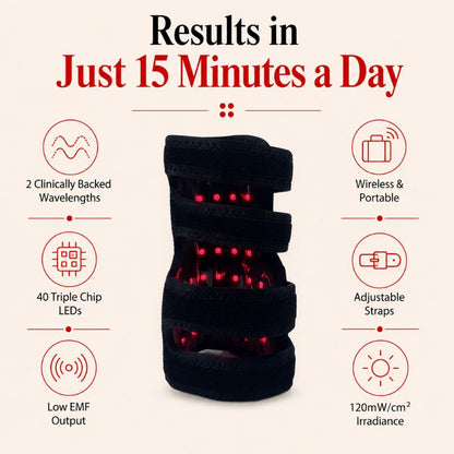 redlighttherapyfordogsfeatures