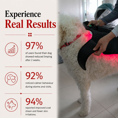 redlighttherapyforlargedogsresults