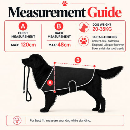 updatedmeasurementguideforlargedogs